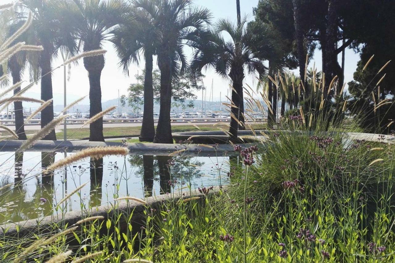 Lux Studio Our Swimming Pool And Garden Cannes Exterior foto